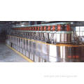 Standard Oxidation / Plating Production Line Painting Equip